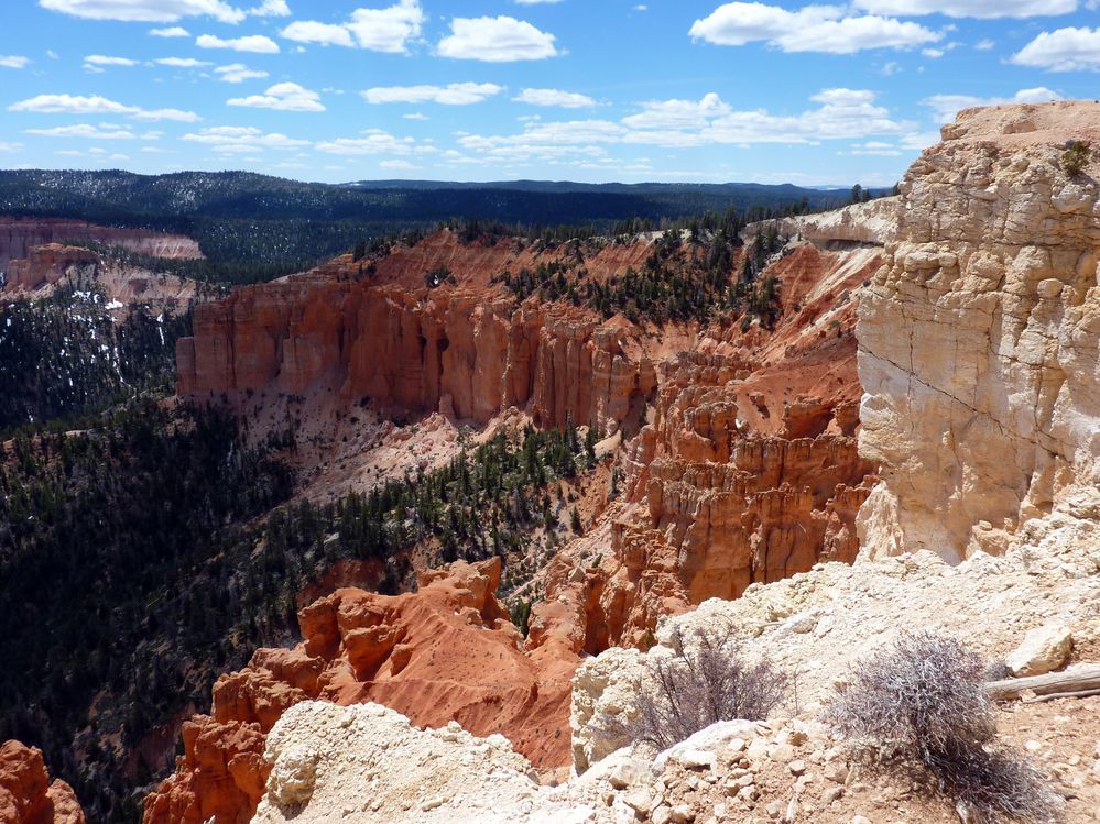 bryce canyon (126).JPG